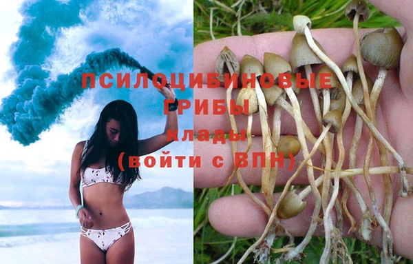 ПСИЛОЦИБИНОВЫЕ ГРИБЫ Инта