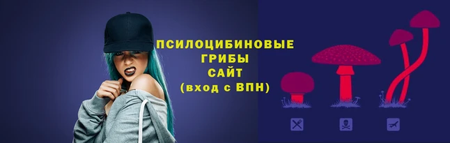трава Карпинск