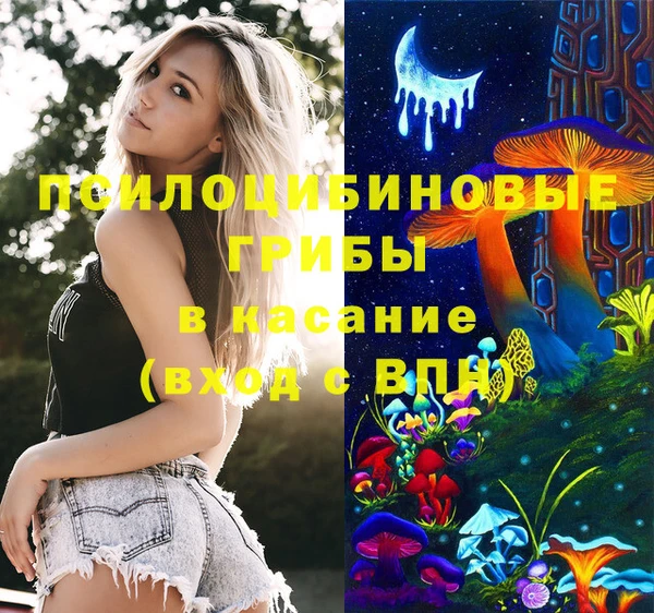гидропоника Инсар