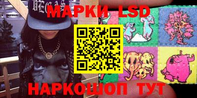 2c-b Кингисепп
