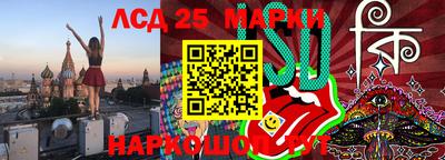 2c-b Кингисепп