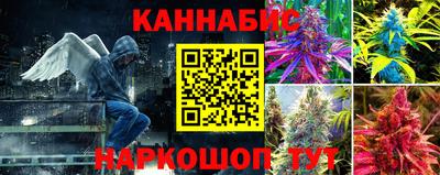 гидропоника Кимры