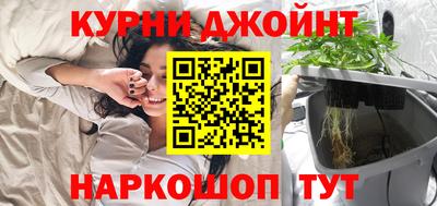 2c-b Кингисепп