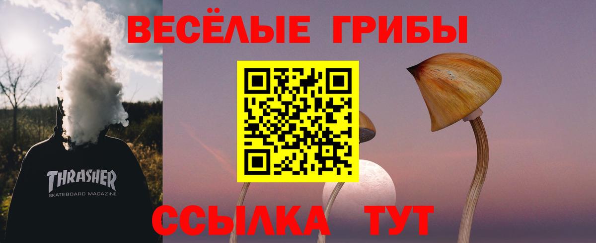 Галлюциногенные грибы Cubensis Крымск